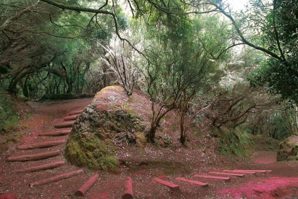Naturpark Macizo de Anaga Was kann man im Norden Teneriffas unternehmen